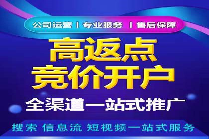 SEM竞价代运营实战技巧与案例